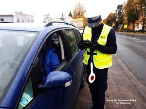 policjanci kontrolujący kierowców