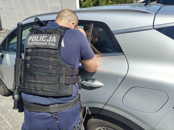 Upały nie odpuszczają! Jak sobie radzić podczas gorących dni.