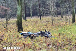 Motocykl leżący w lesie.