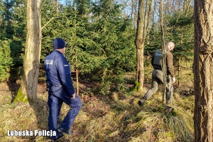 Policjant ze strażnikiem leśnym chodzą po lesie.